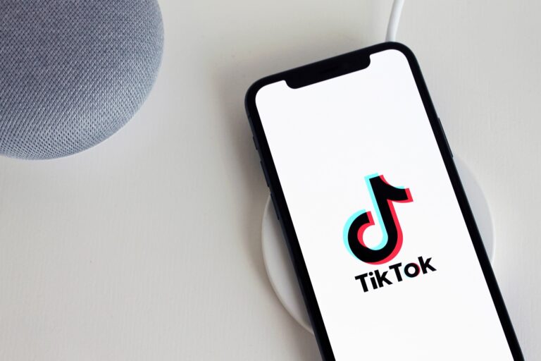 TikTokpreneur: Mengejar Sukses Jualan di TikTok