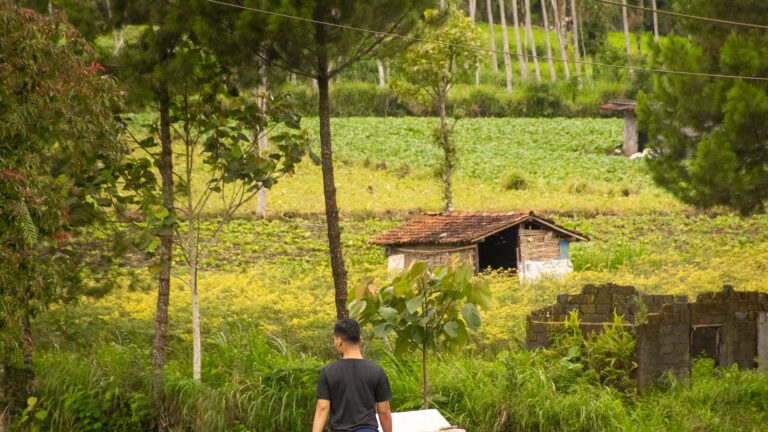 Rahasia Sukses Menormalkan Tensi Tinggi Secara Cepat: Tips Ampuh!