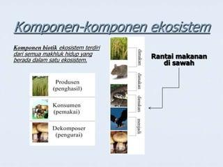 Peran Ekosistem: Mengapa Keberagaman ‌Hayati Sangat Penting untuk Kita