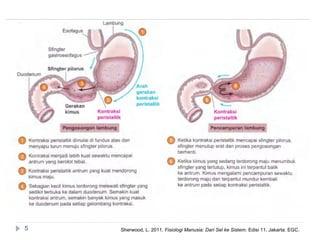 Menjelajahi Perforasi Pada Perangko: Apa dan Mengapa?