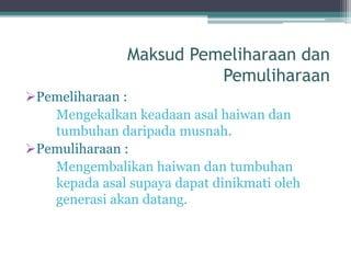 Pentingnya Pemeliharaan dan ‌Perawatan Sistem Biogas di Rumah